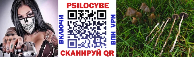 Галлюциногенные грибы Magic Shrooms  Сусуман 